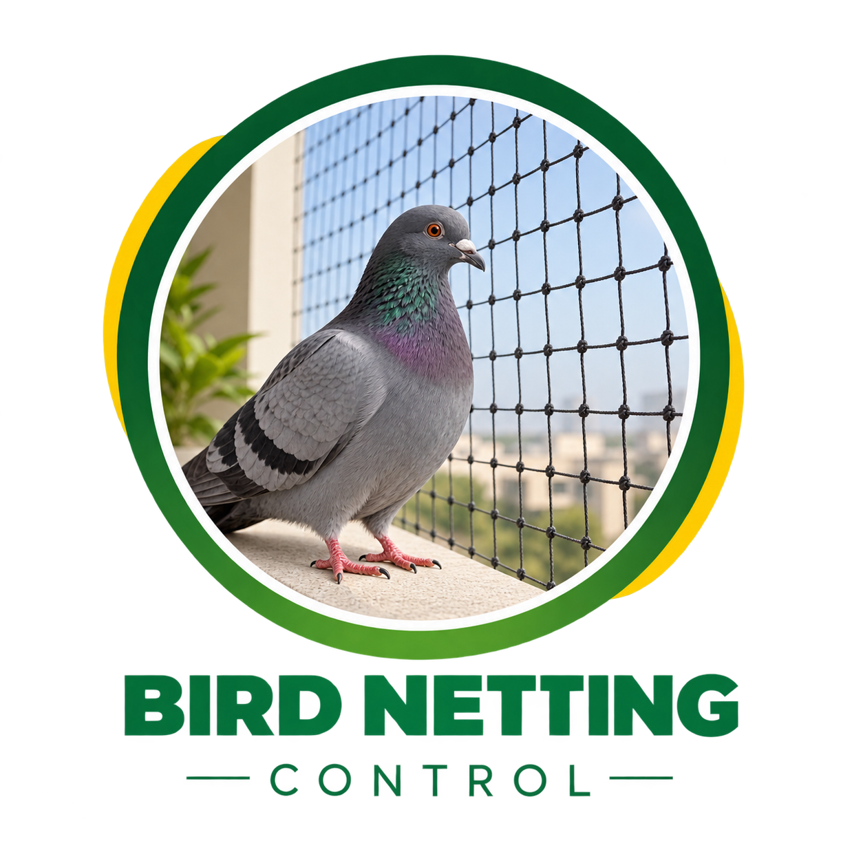 Bird Net Installation