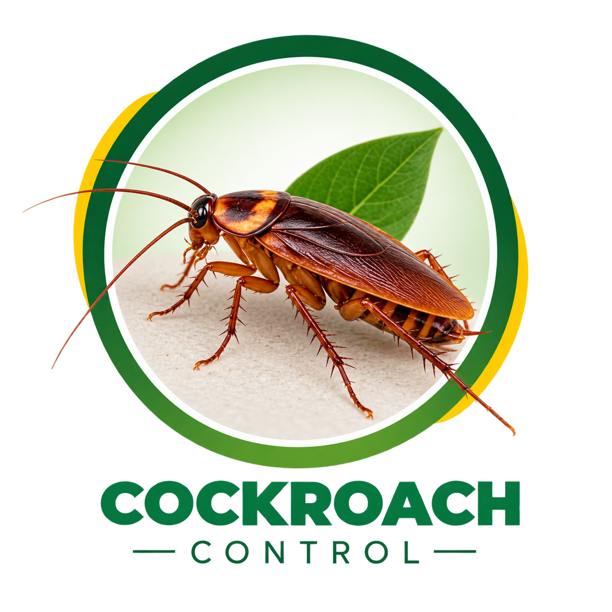Cockroach Control