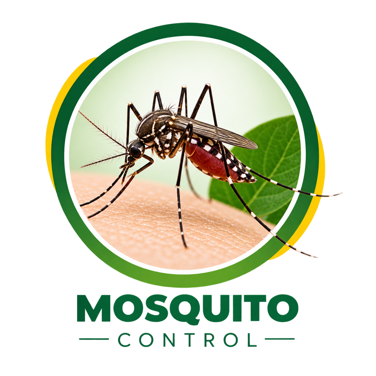 Mosquito Control
